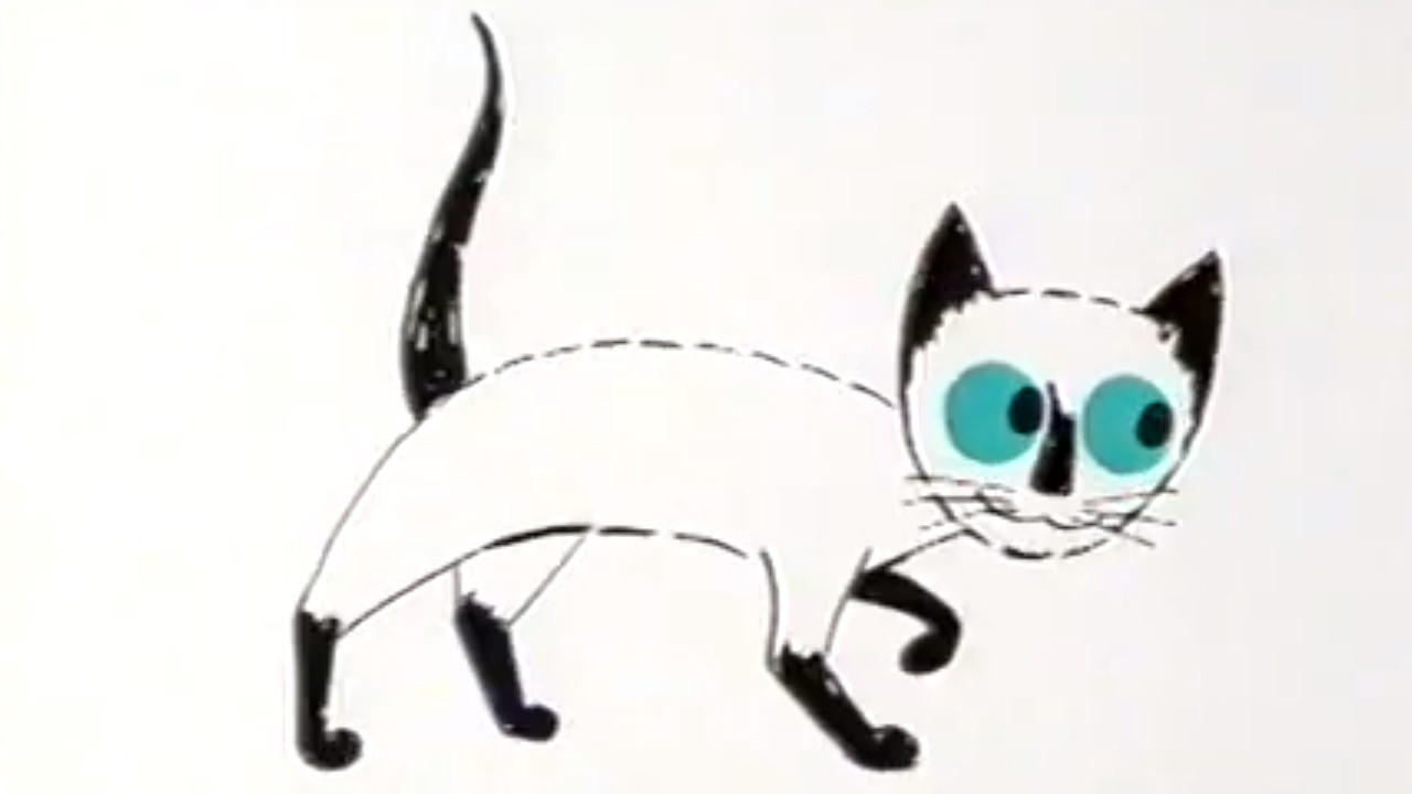 Pussycat with the Blue Eyes backdrop