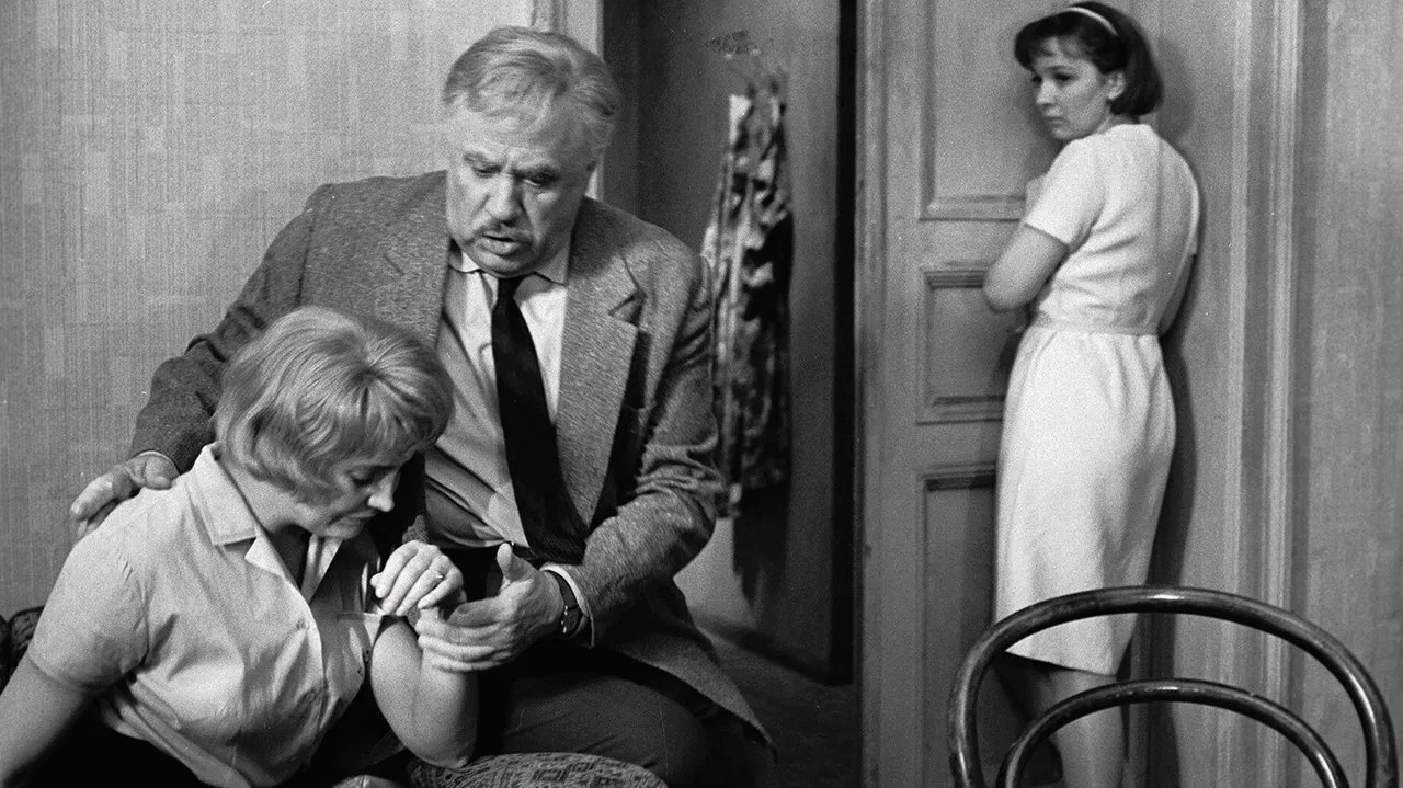 Elder Sister backdrop