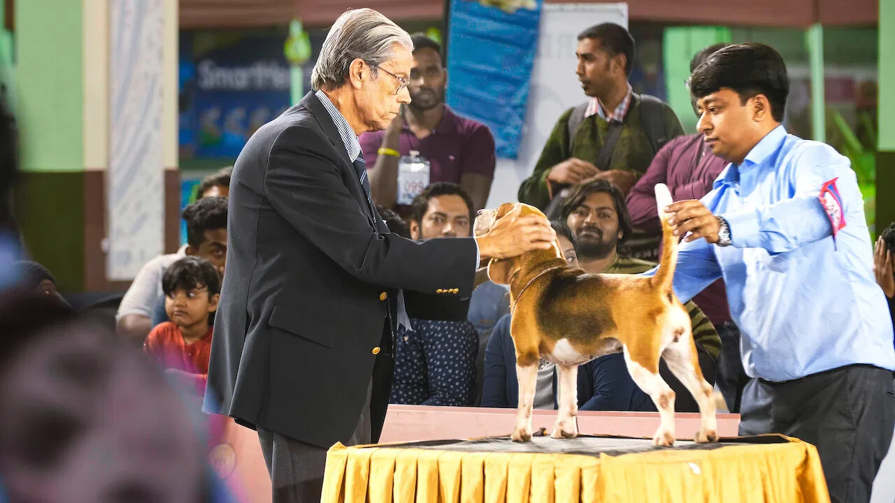 Best Dog India backdrop