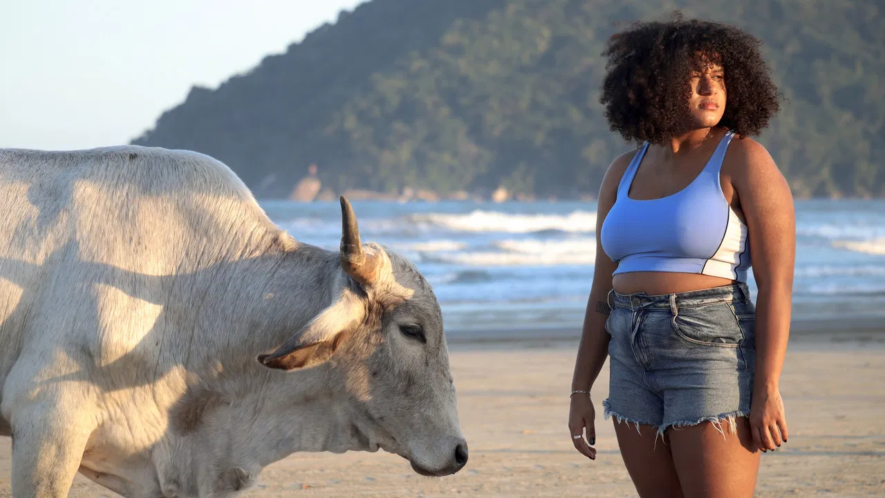 The Shell Covered Ox backdrop