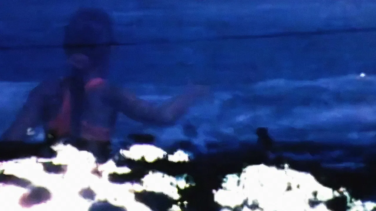 Floating under a Honey Tree backdrop