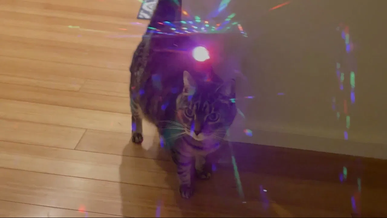 Another Annette Bening Mug backdrop