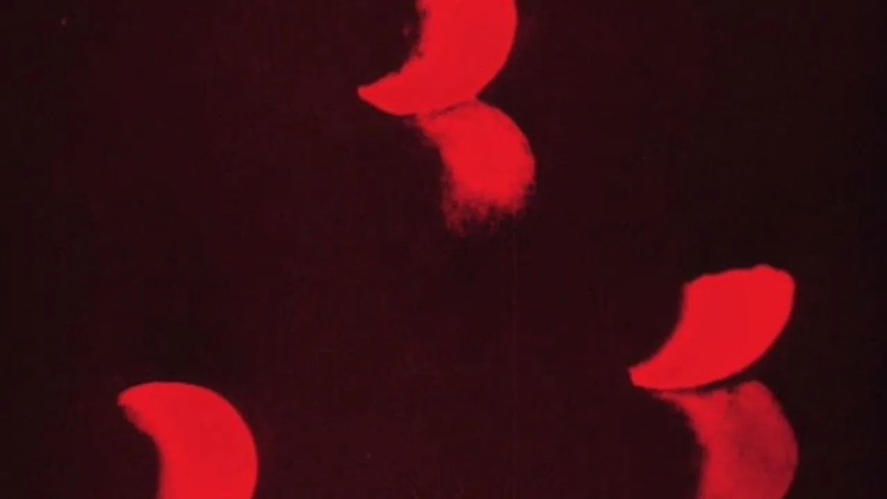 Lichtspiel: Opus I backdrop