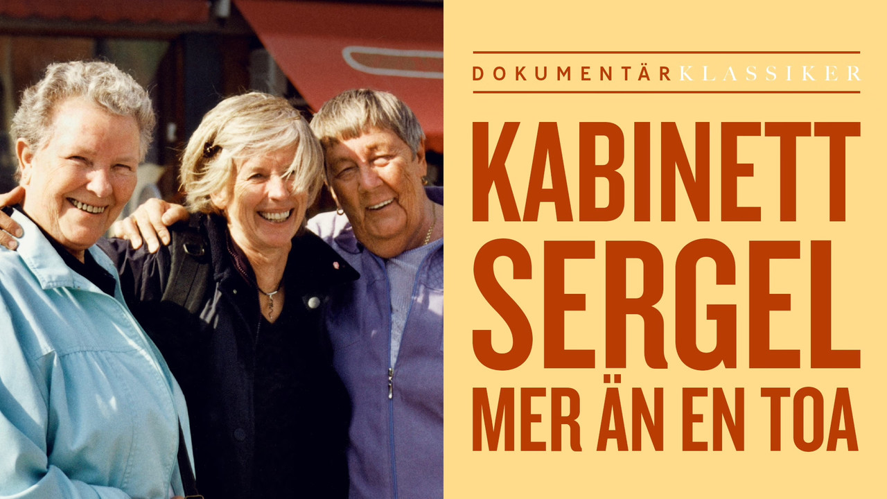 Kabinett Sergel - mer än en toa backdrop