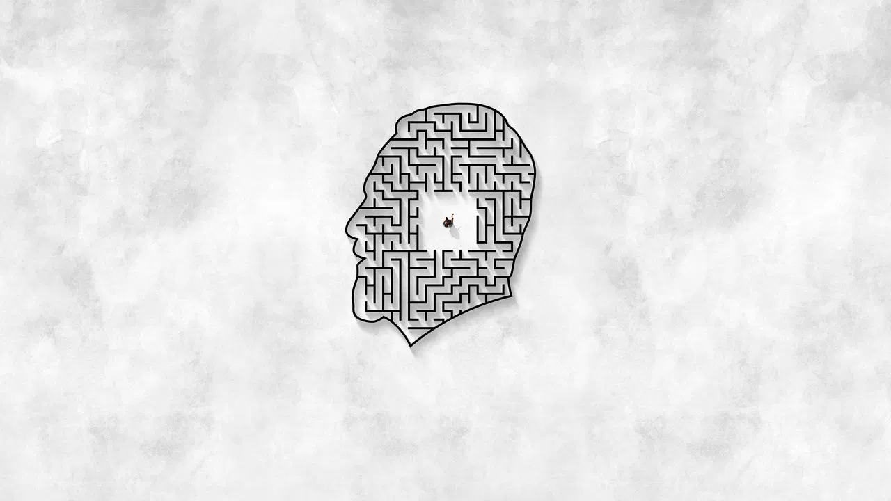 Mister Organ backdrop