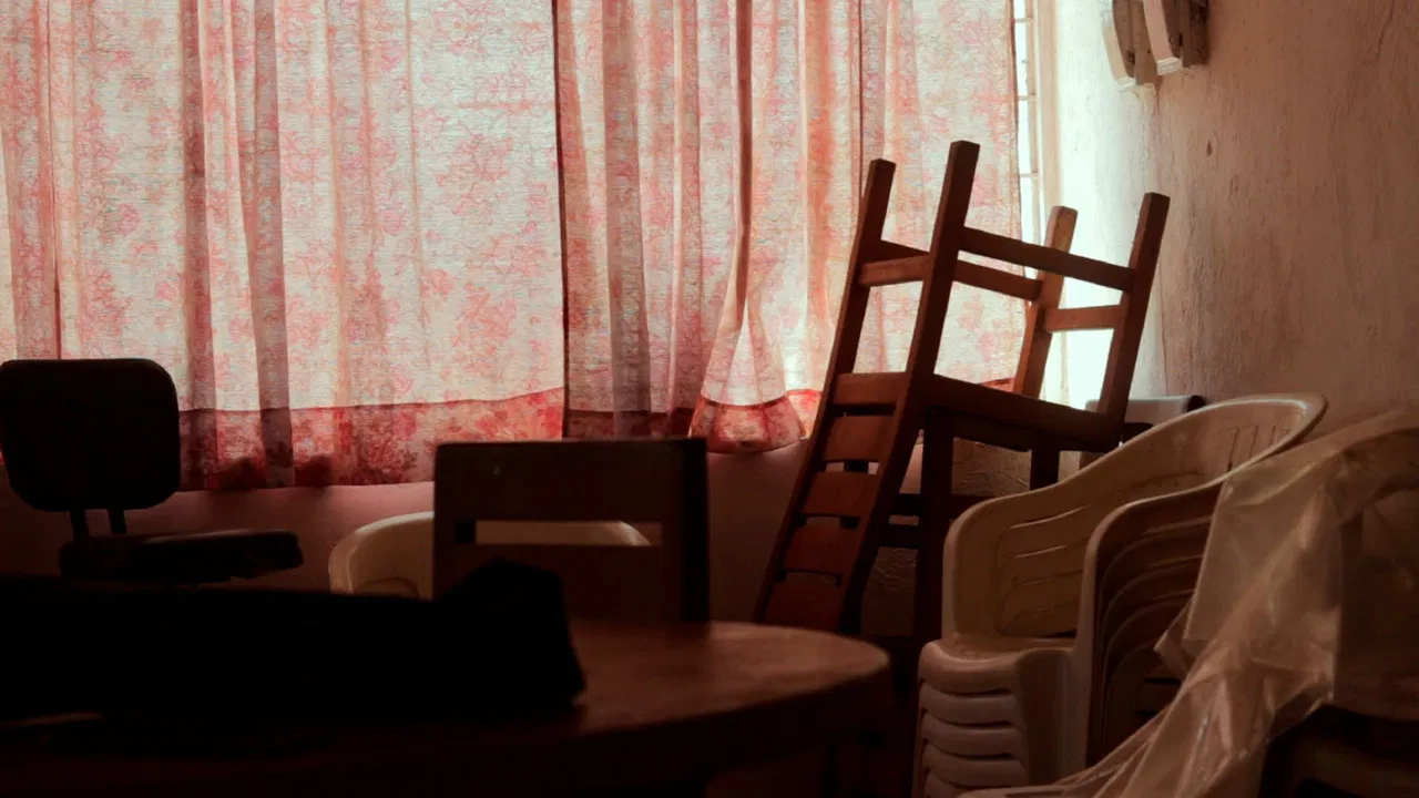 Se Siembran Flores backdrop