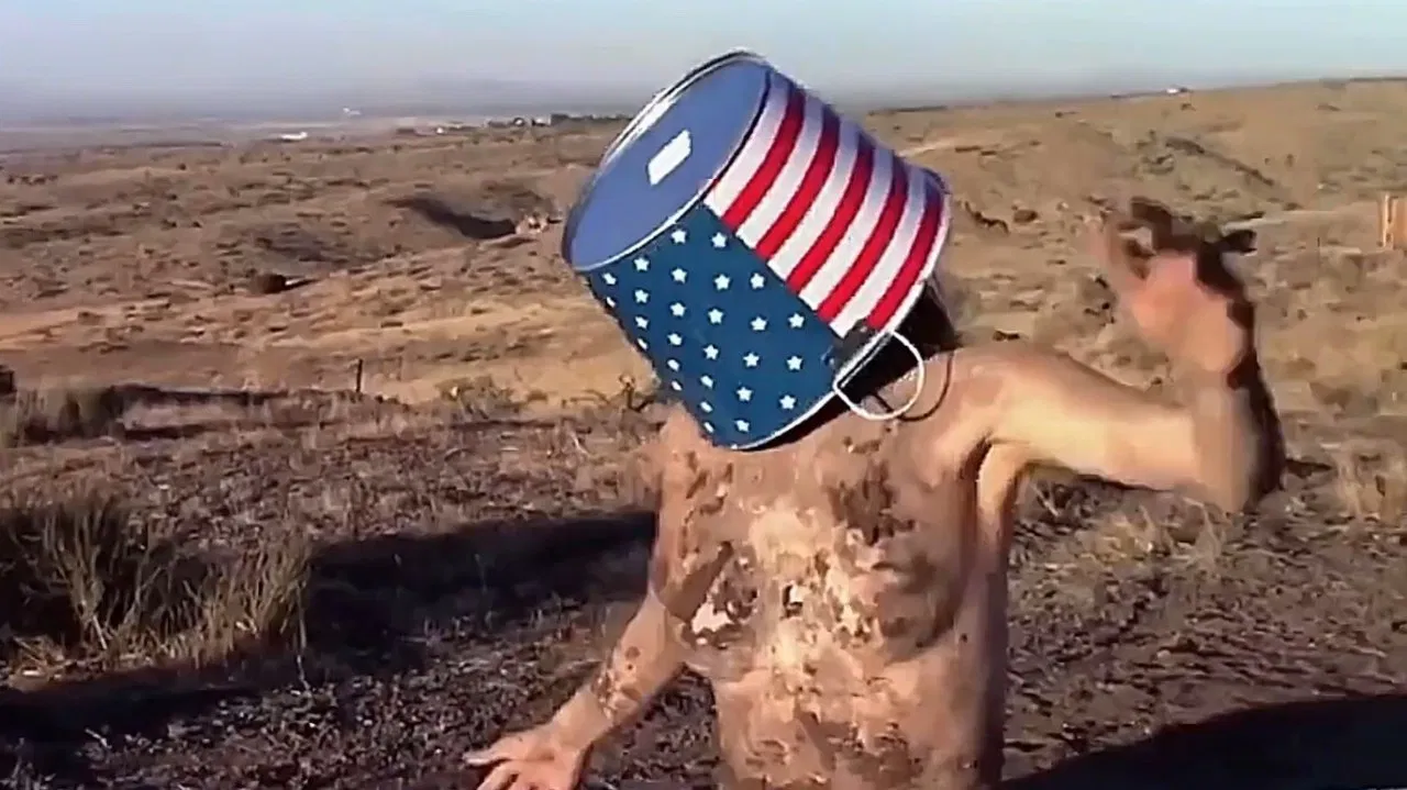 The Great American Mud Wrestle backdrop