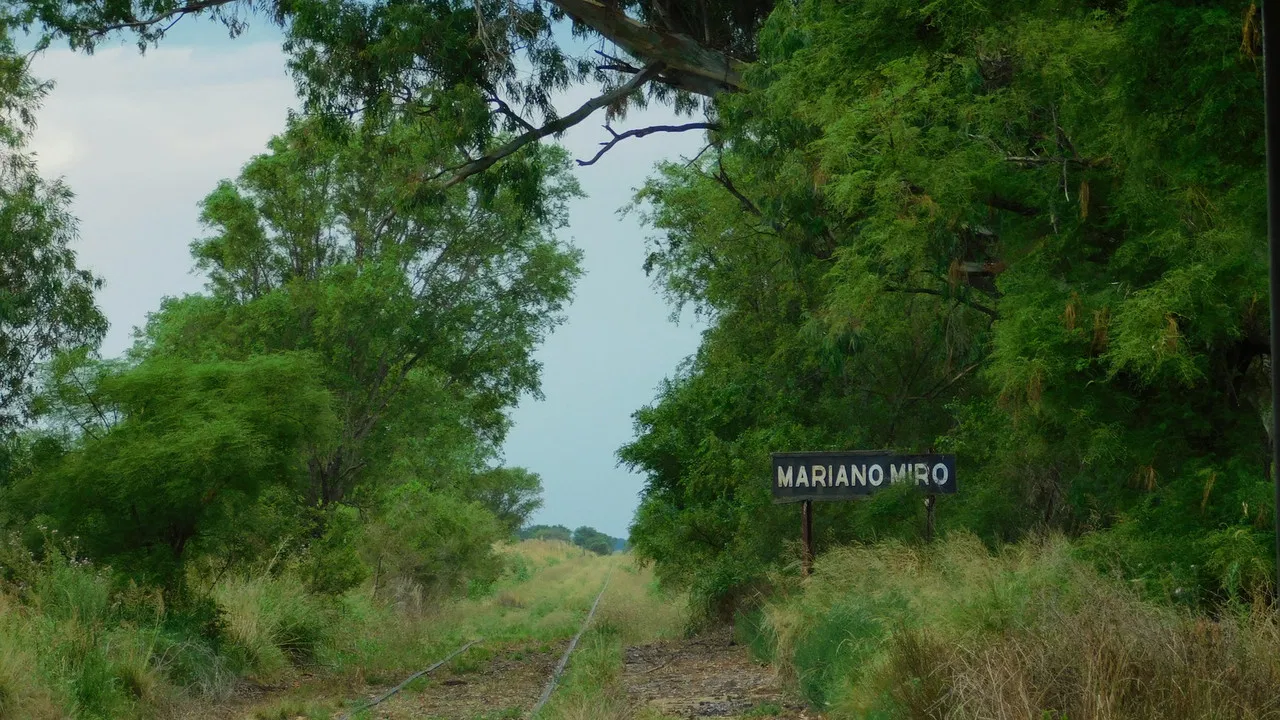 Miró. Traces of Oblivion backdrop