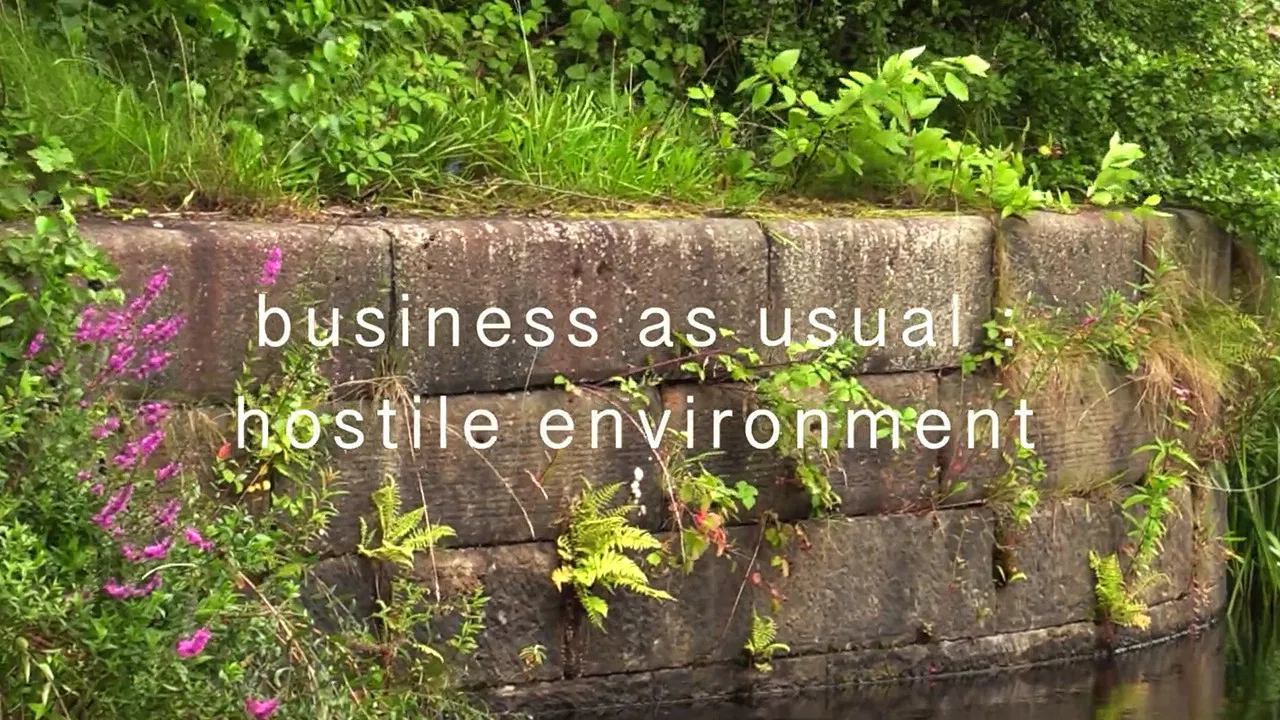 business as usual : hostile environment backdrop