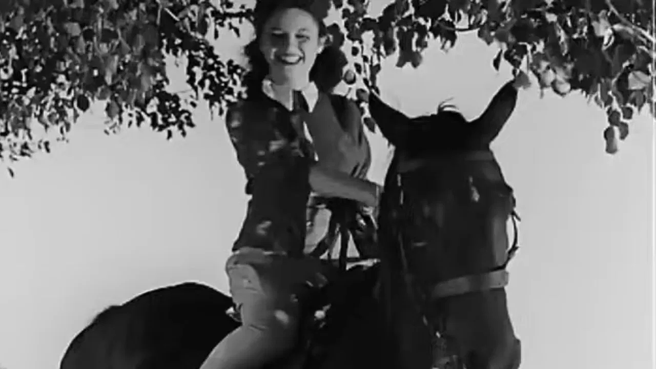 Orphans' money backdrop