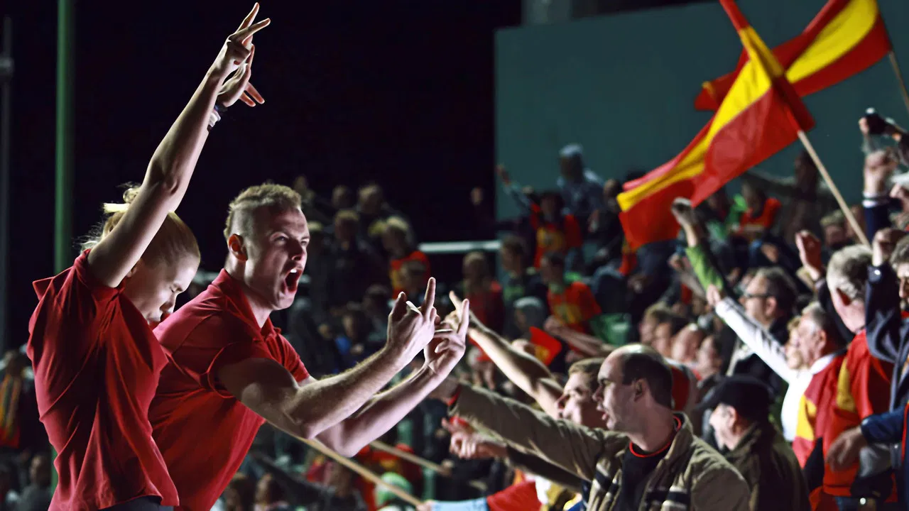 Flying Pigs backdrop