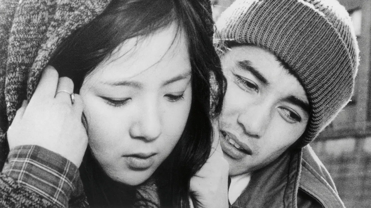 Oh Seagull, Have You Seen the Sparkling Ocean? An Encounter backdrop