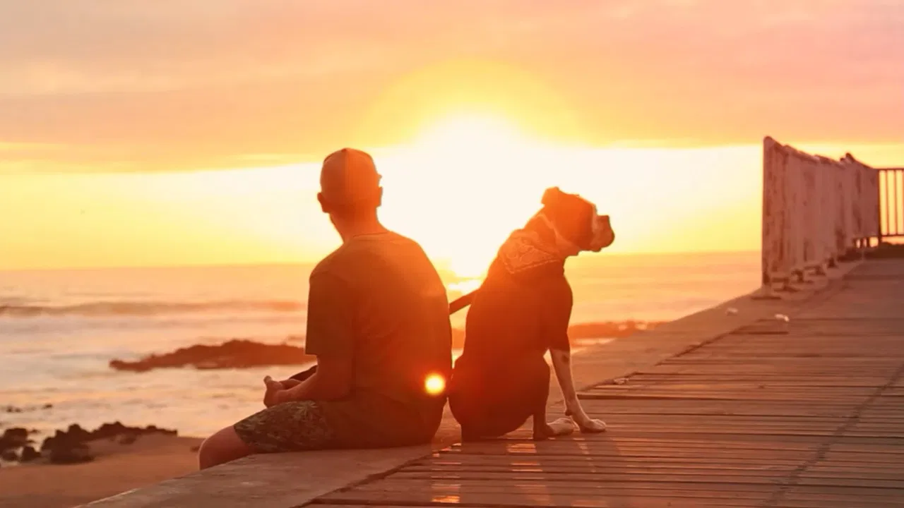 Pirata's Road Trip backdrop