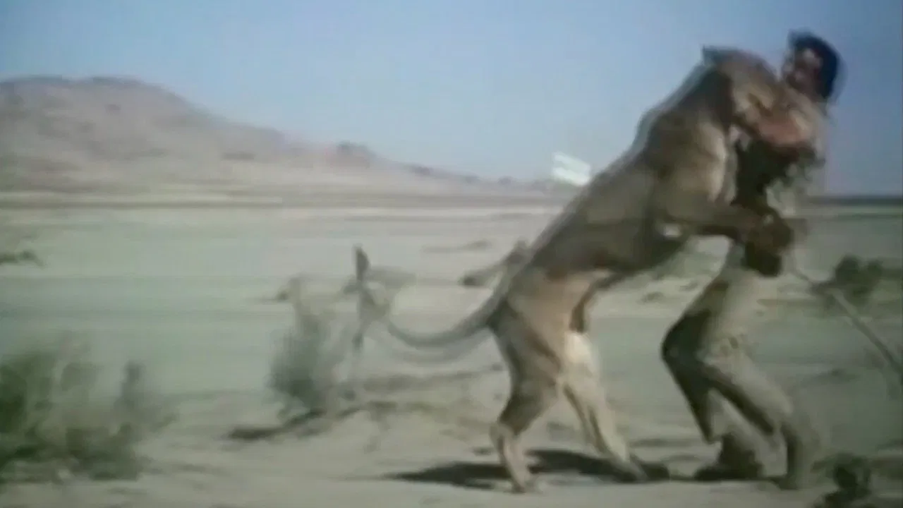 Escape from Angola backdrop