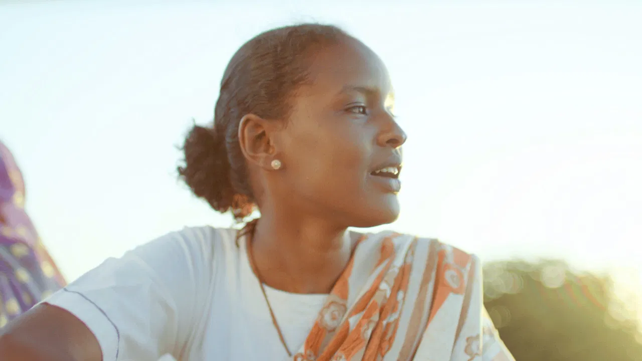 Cotton Queen backdrop