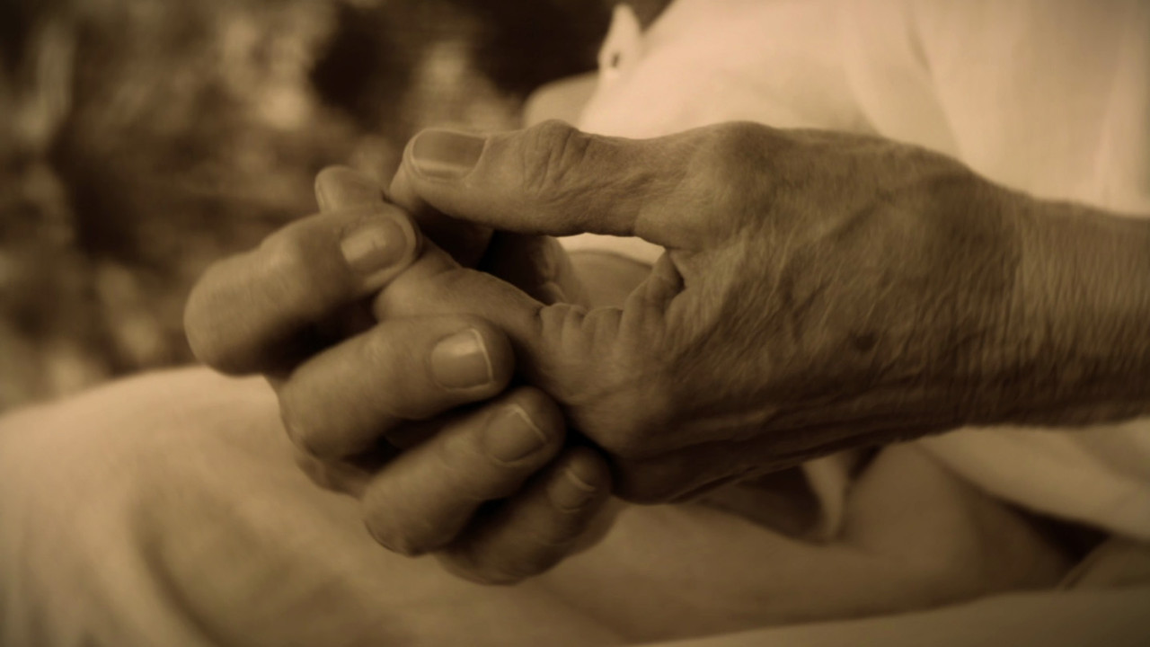 With the Wind and the Leaves backdrop