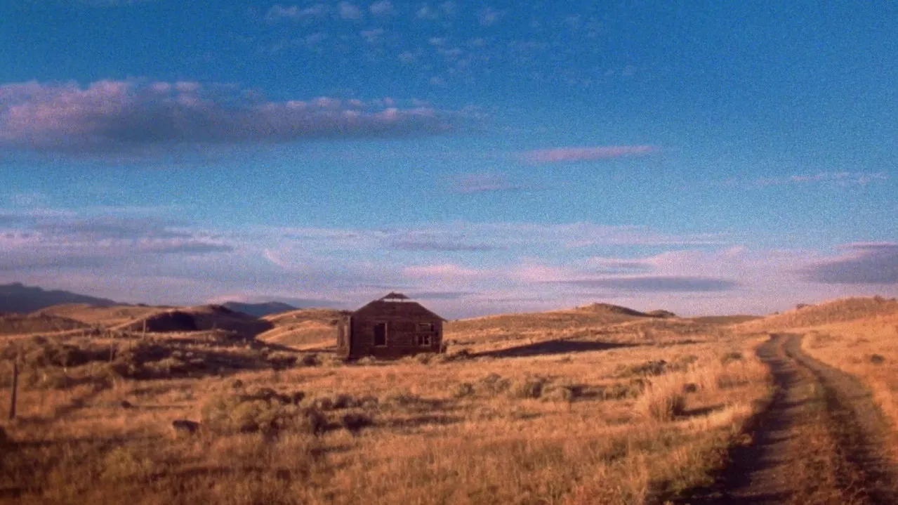 Future So Bright backdrop