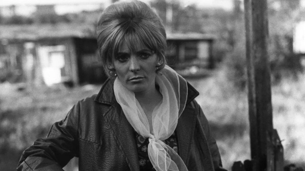 Early to Bed backdrop