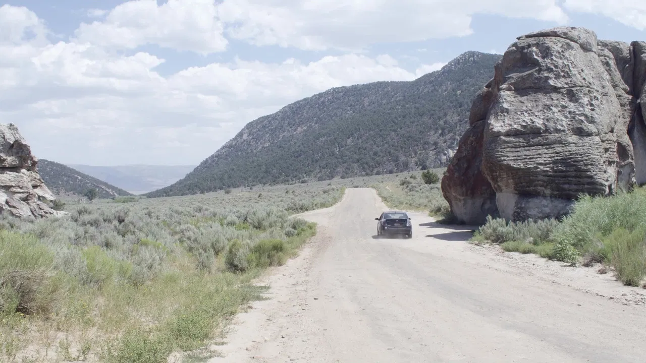 All That You Love Will Be Carried Away backdrop