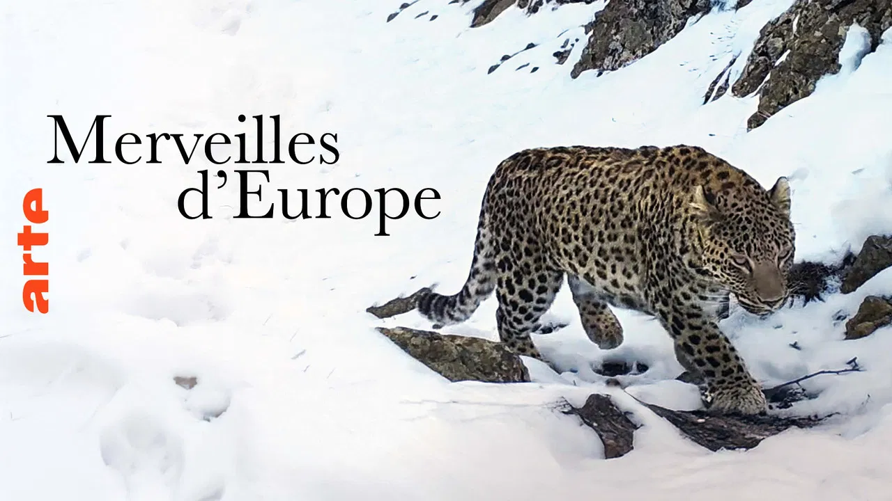 Merveilles d'Europe backdrop