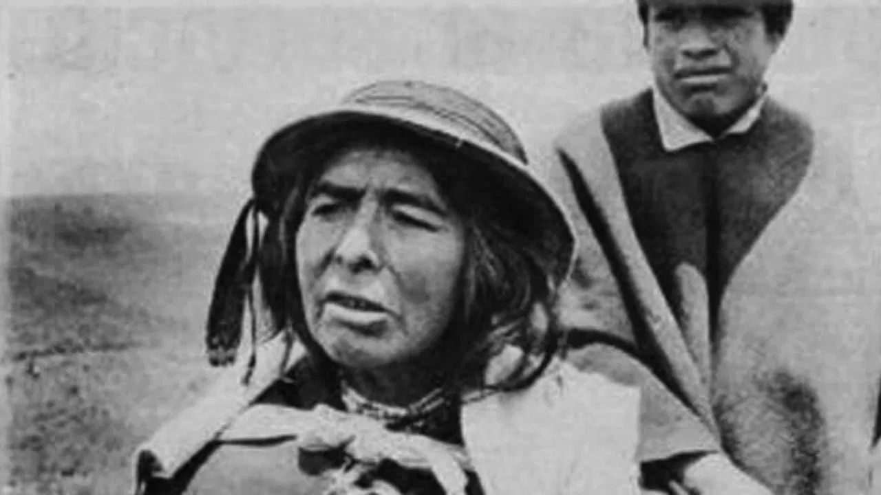 Get Out of Here! backdrop