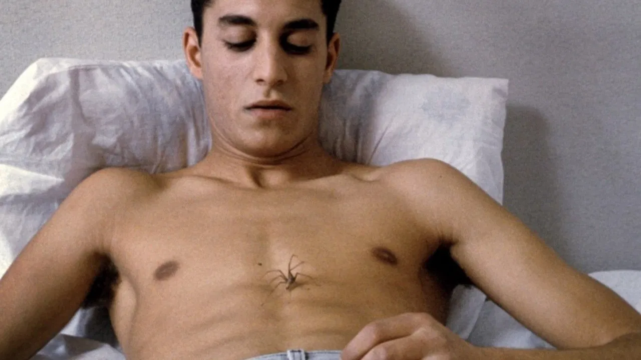 Open Bodies backdrop