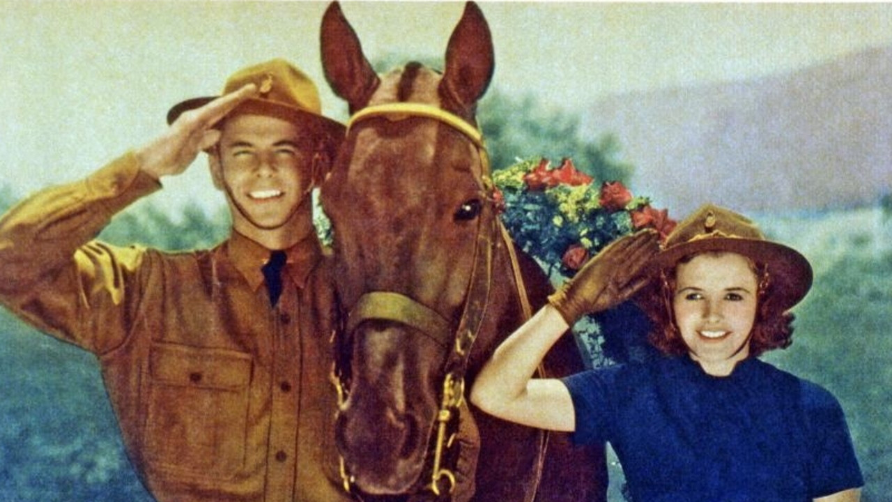 Sergeant Murphy backdrop