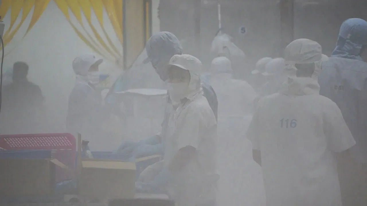 Mêkông Mechanical backdrop