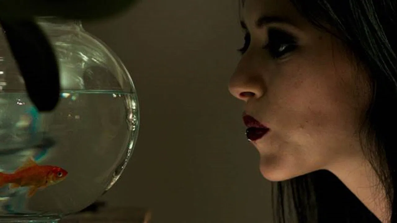 Black Wedding backdrop