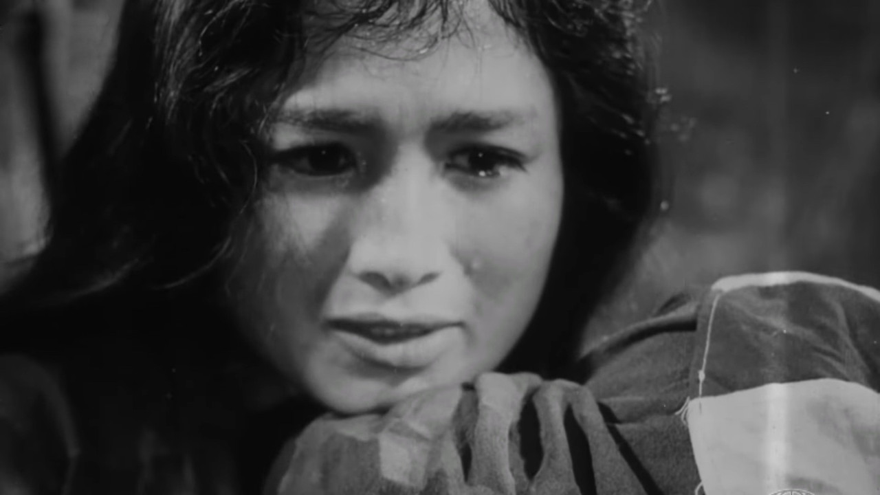 17th Parallel, Nights and Days backdrop