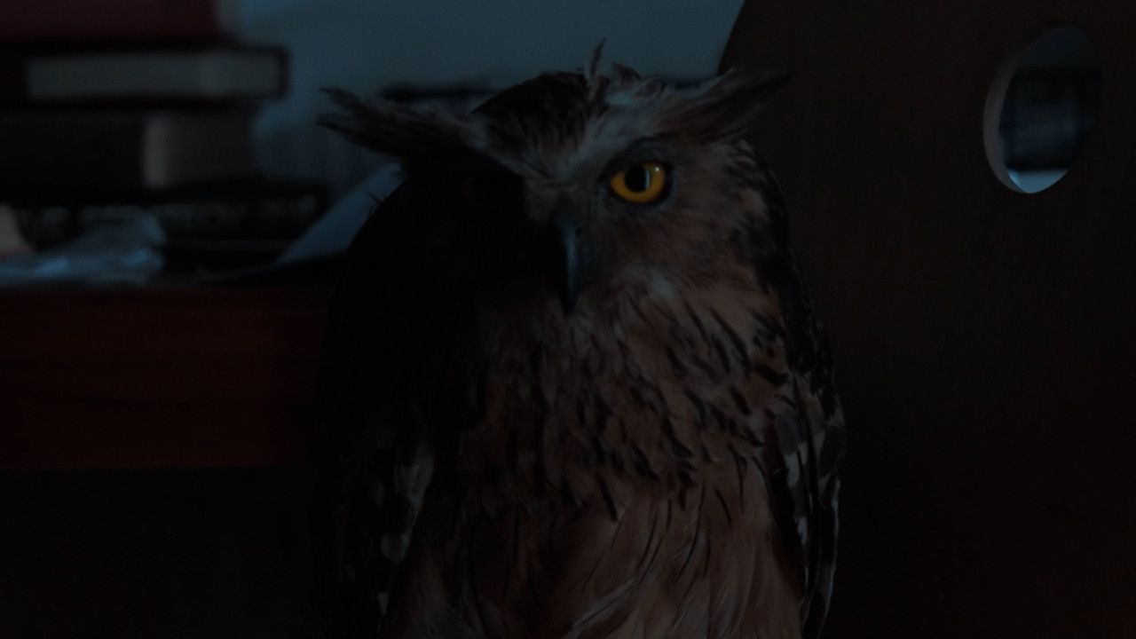 On Being Almost backdrop