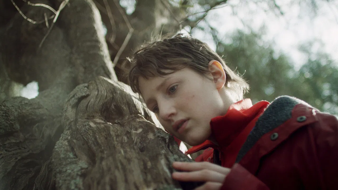 Sow the Wind backdrop