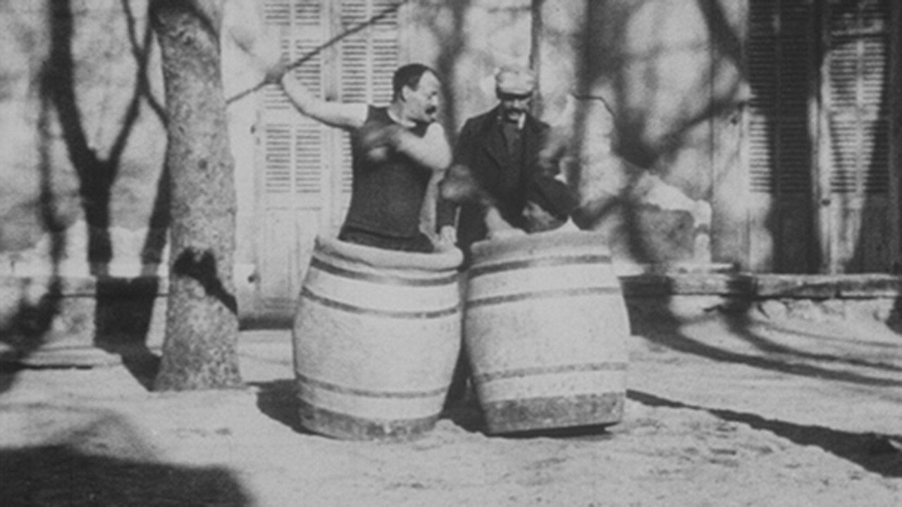 Boxers in Barrels backdrop