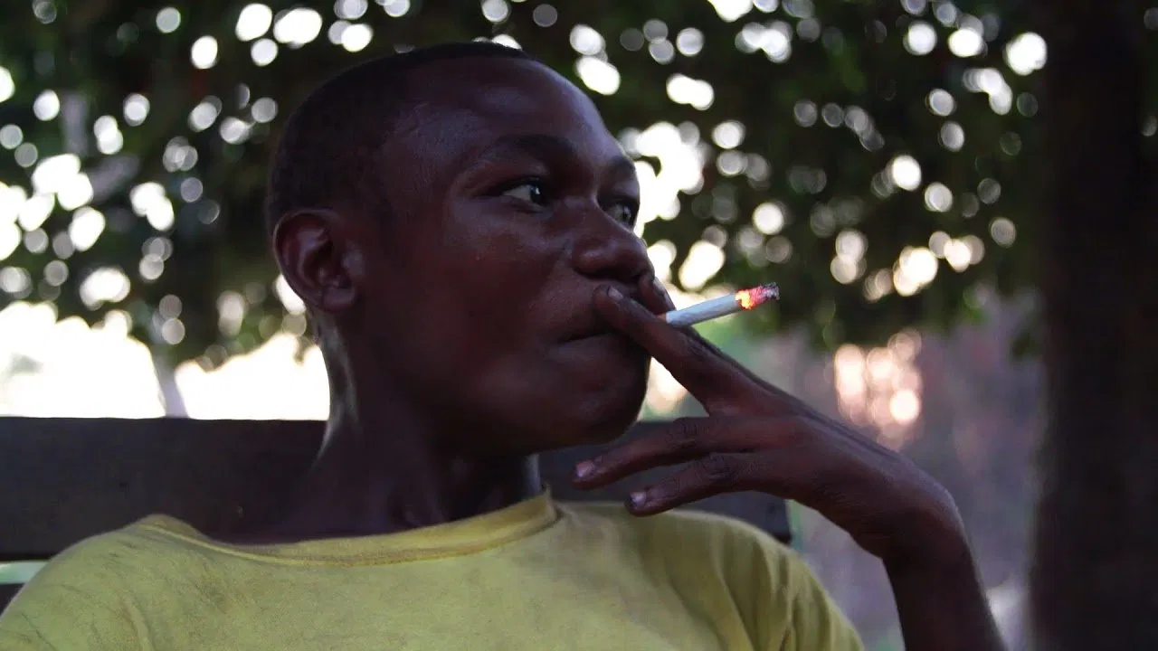 Small People. Big Trees backdrop