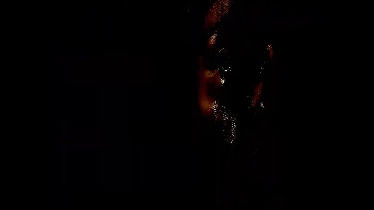 -Pursuit.VocaleE.: Post-Programmazione backdrop