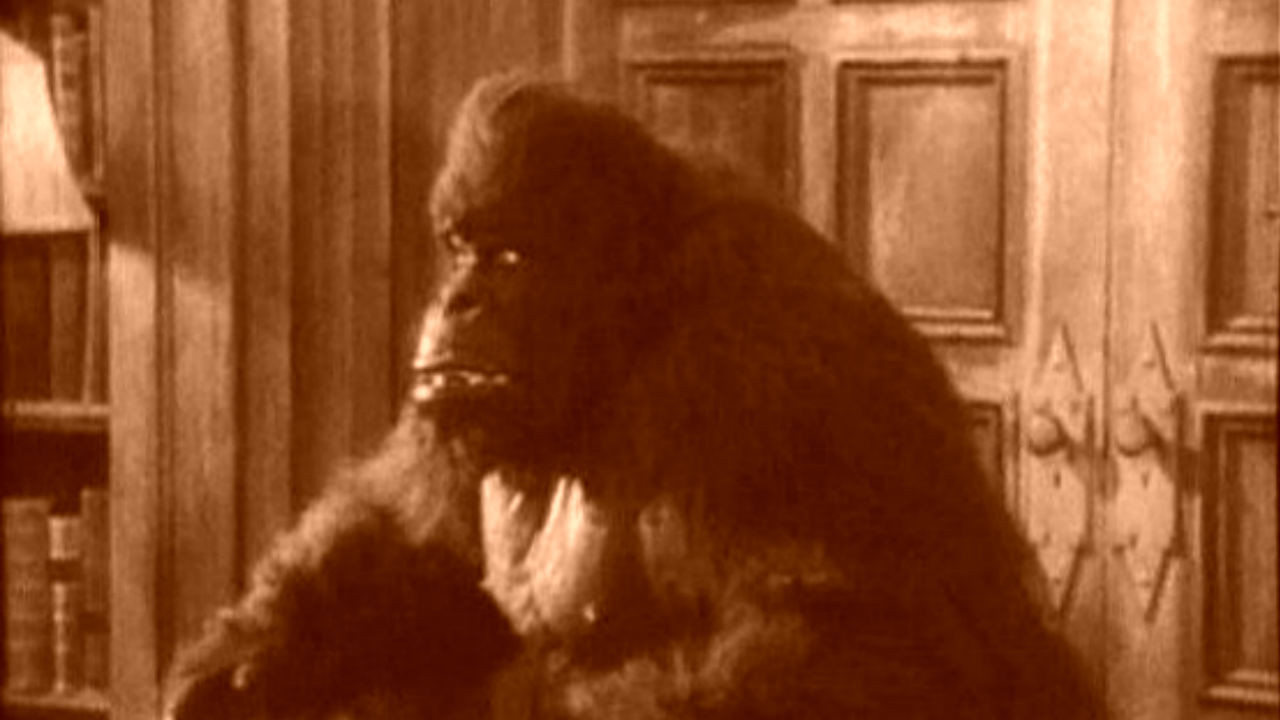 House of Mystery backdrop