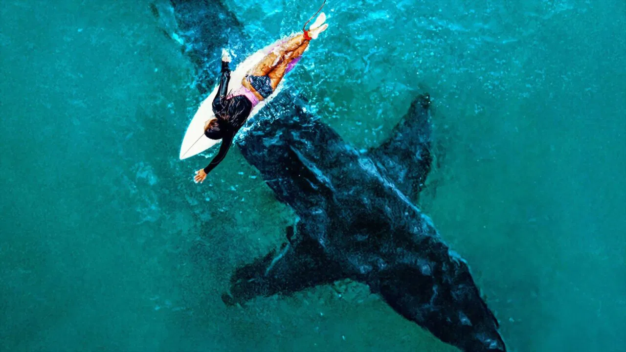 Great White Serial Killer: Fatal Christmas backdrop