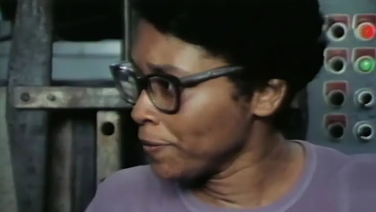 Taylor Chain II: A Story of Collective Bargaining backdrop