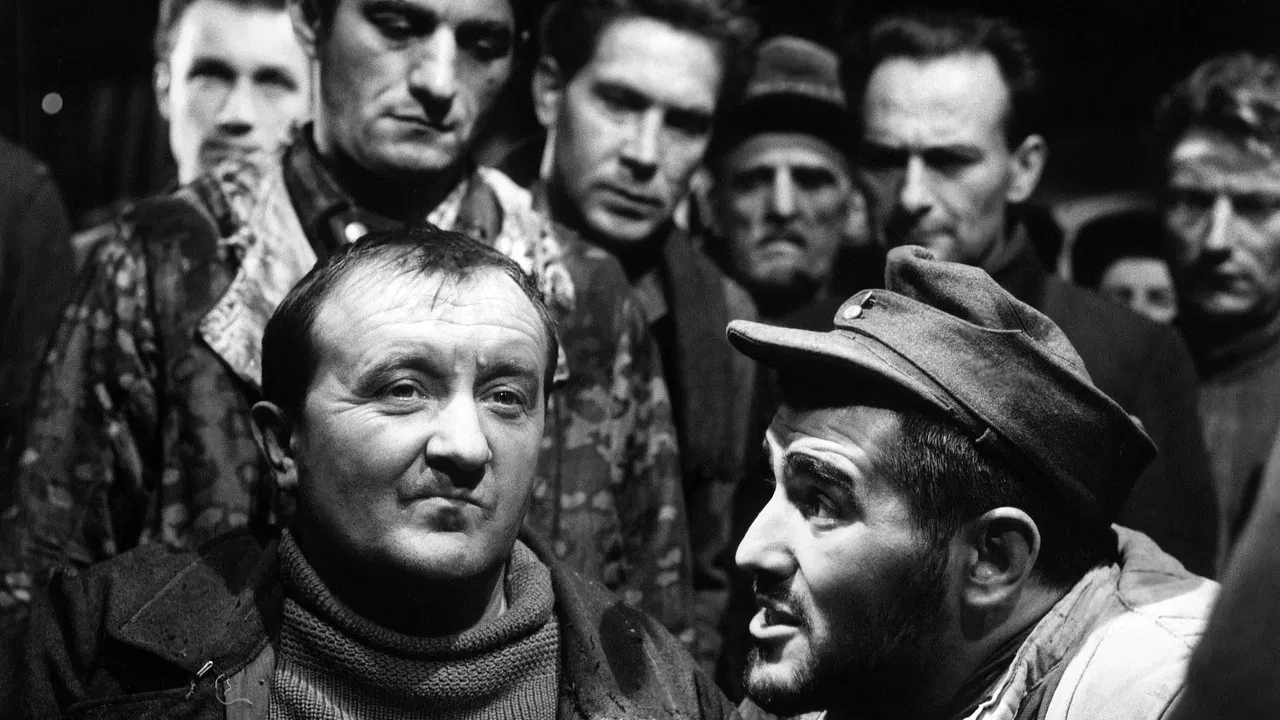 The Doctor of Stalingrad backdrop