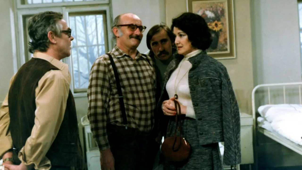 Tažní ptáci backdrop