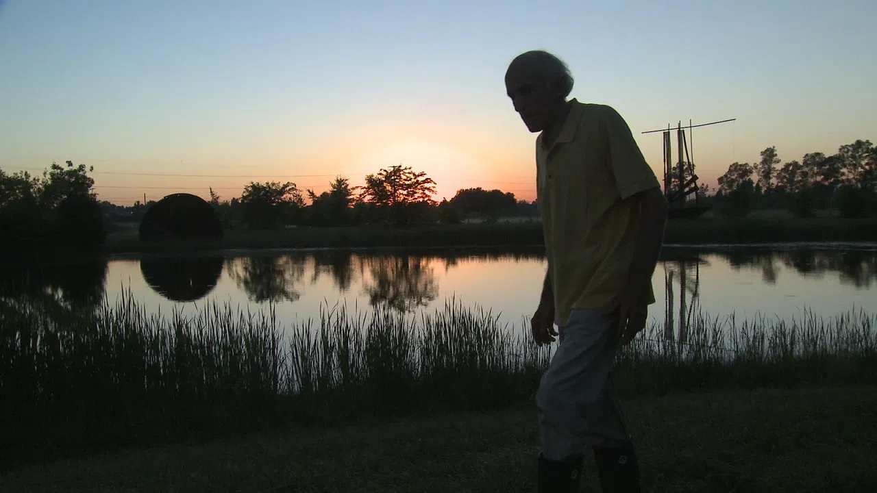 La mirada del colibrí backdrop