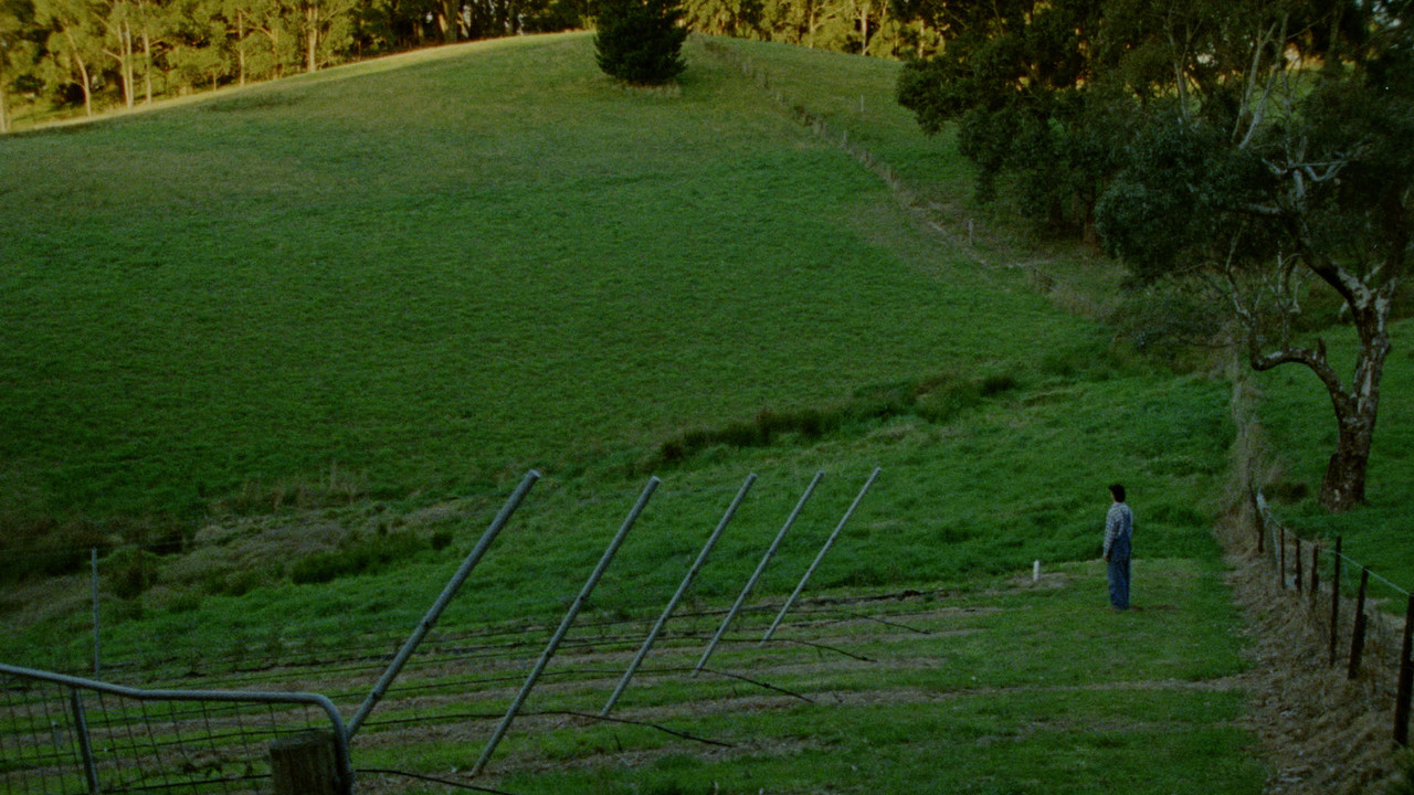 Does It Come With a Warranty? backdrop