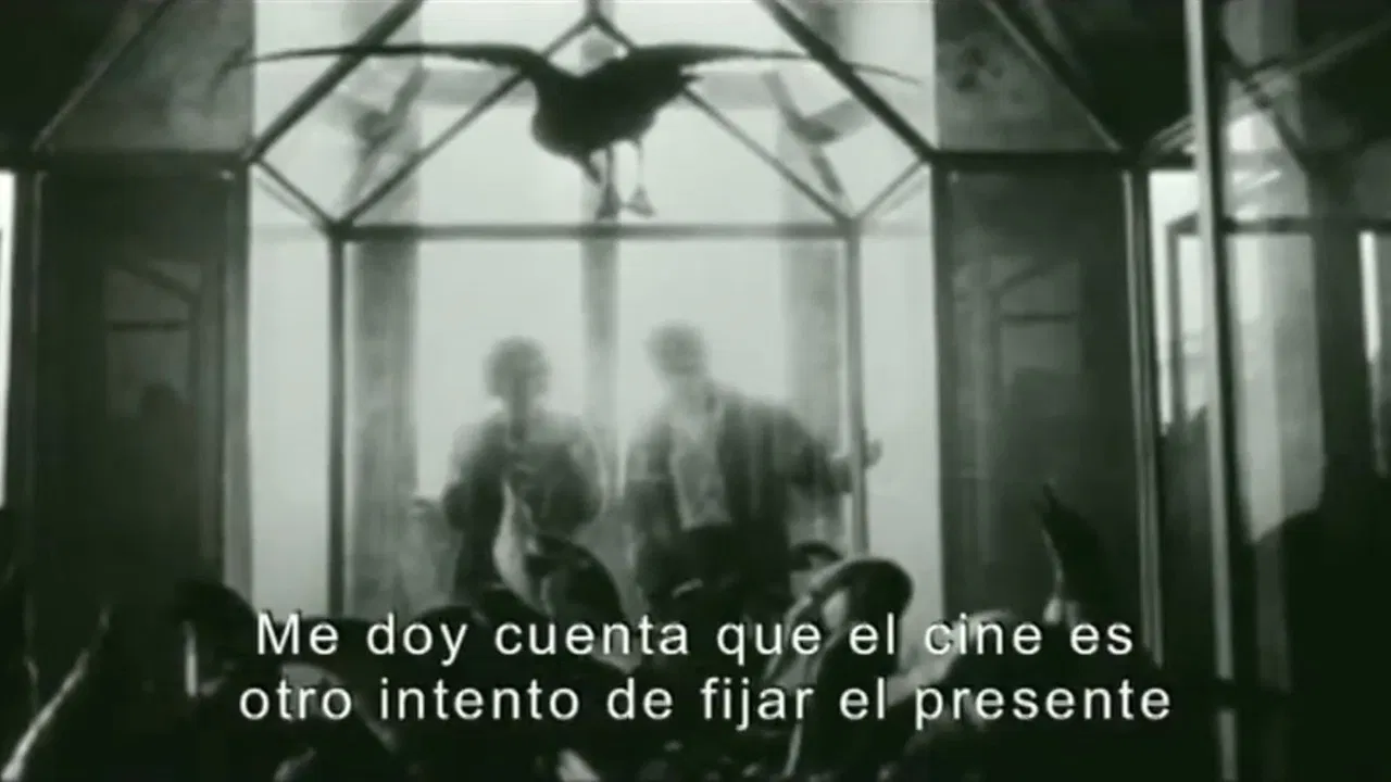 Time and Memory backdrop