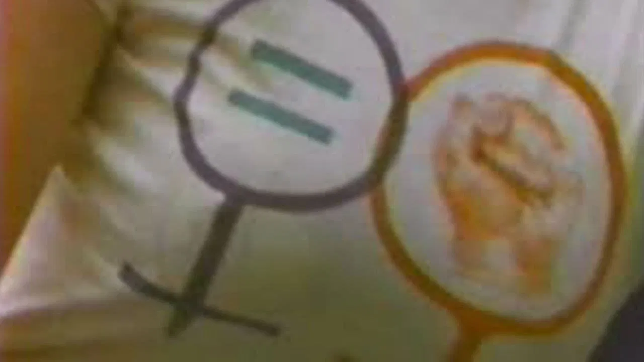 Not For Sale: Feminism and Art in the USA during the 1970s backdrop