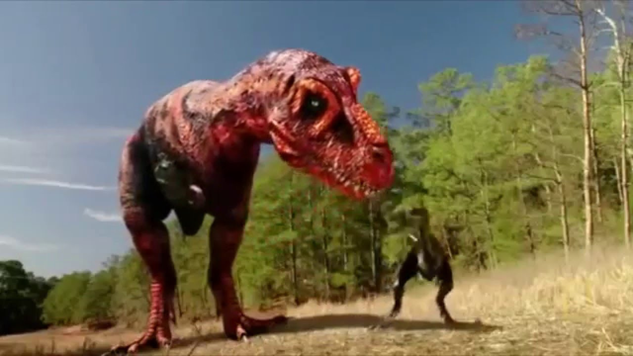 Dinosaurs Decoded backdrop