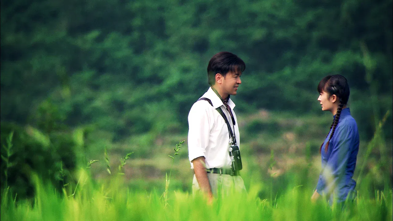 相逢何必曾相识 backdrop