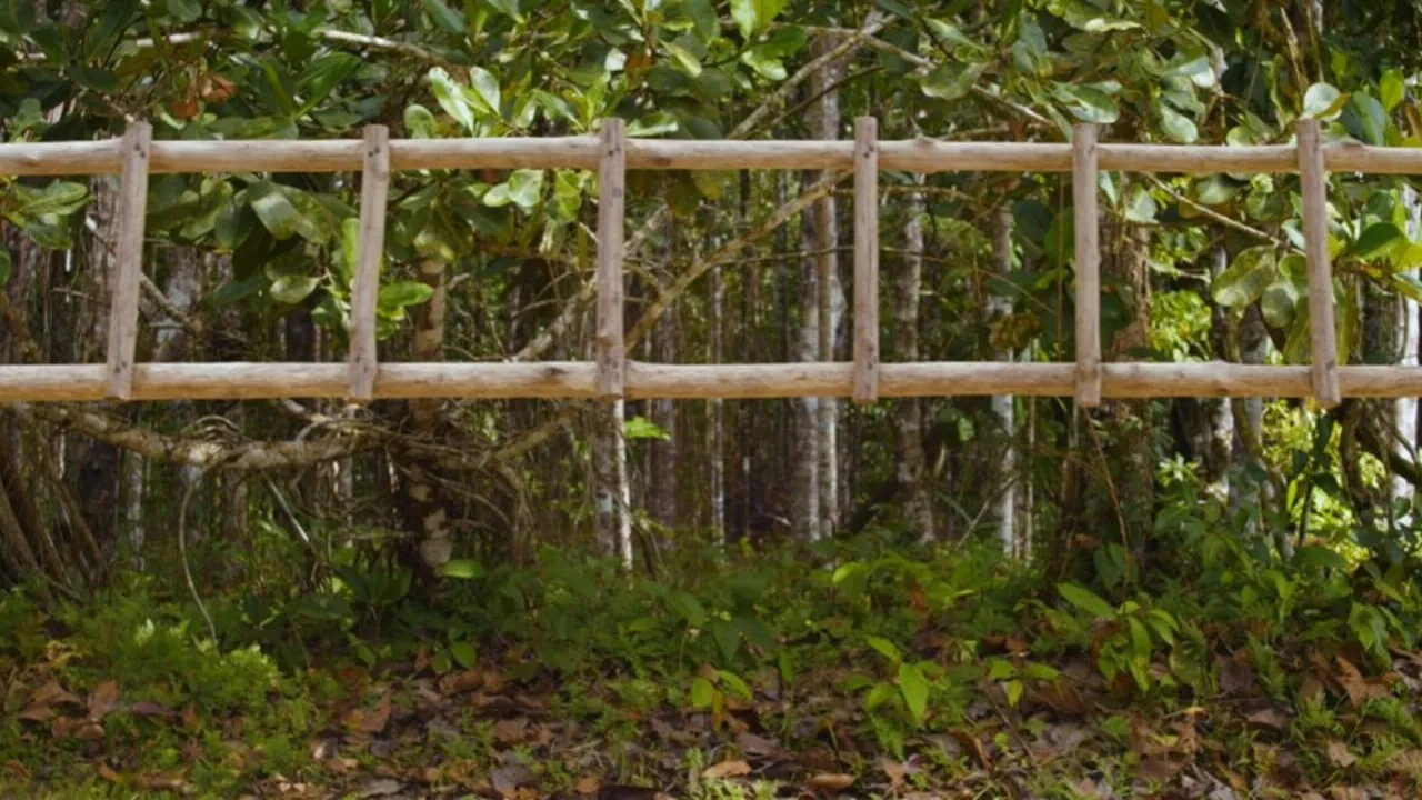 Estoy feliz backdrop