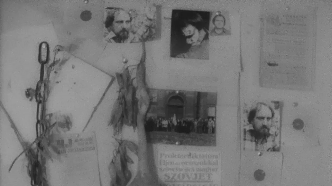 In memoriam Hajnóczy Péter backdrop