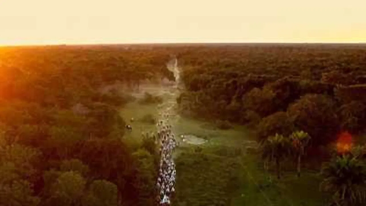 Pantanal: The Good Innocence of Our Origins backdrop