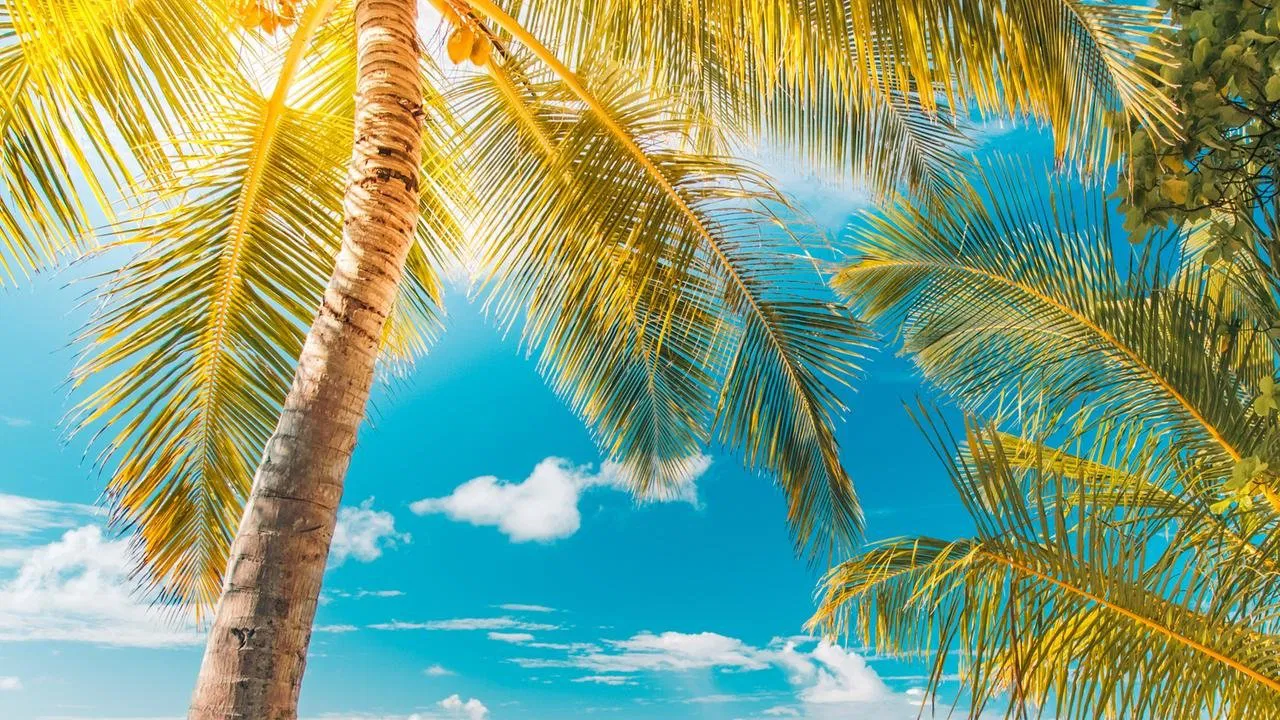 Abenteuer Karibik backdrop